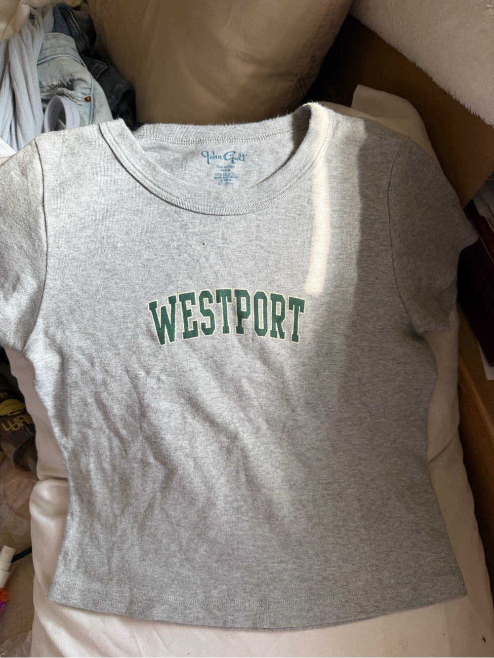 Brandy Melville Grey Tee with Green WESTPORT Print